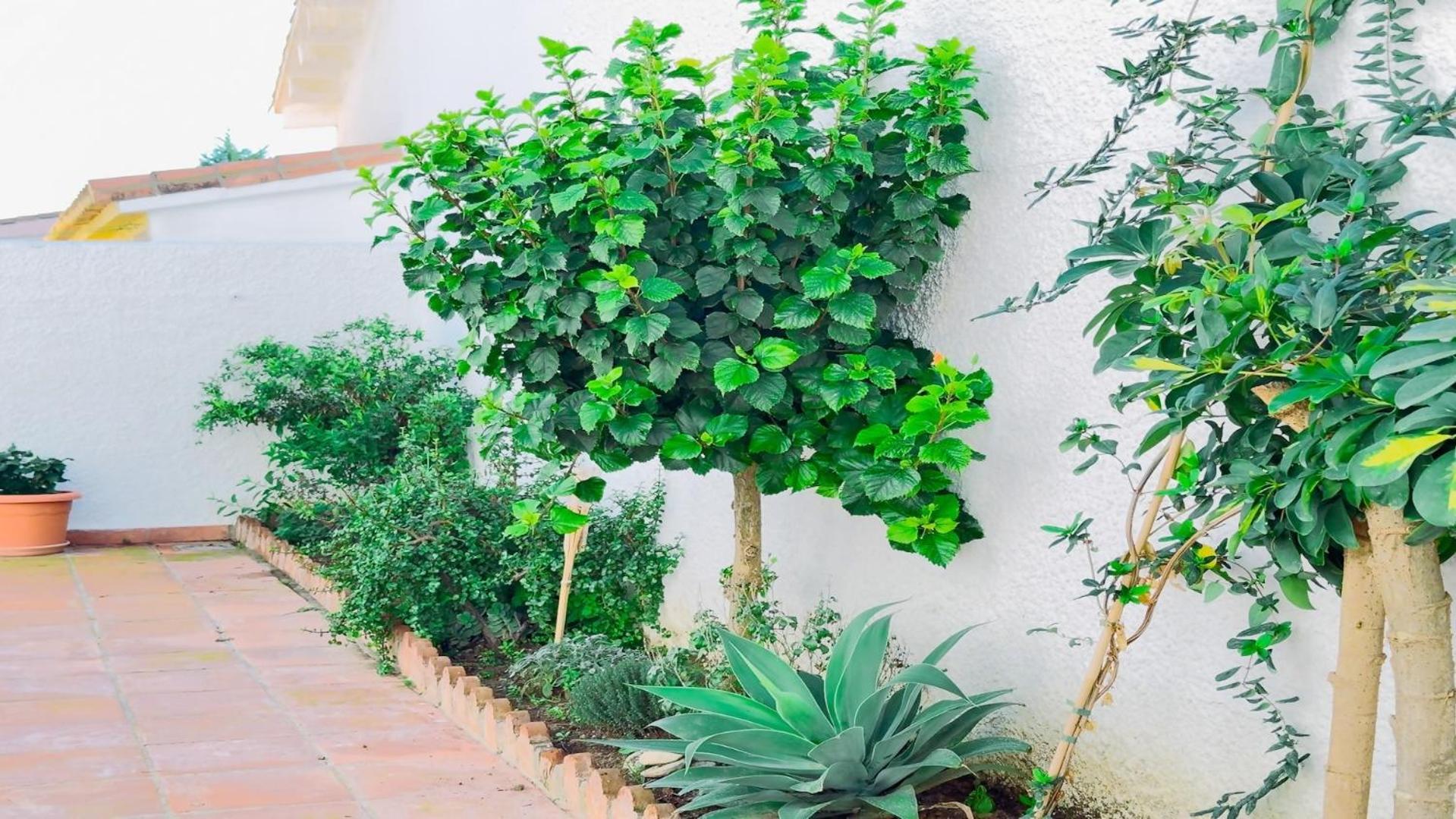 Vivienda Con Encanto Goya Nº4 Benalmádena Εξωτερικό φωτογραφία